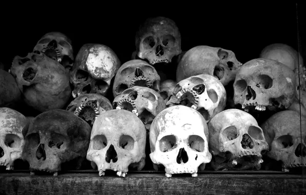 Picture black and white, composition, bones, skull