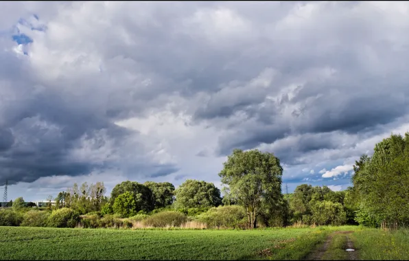 Picture field, the sky, clouds, trees, Nature, trail, sky, trees, field, nature, clouds, path