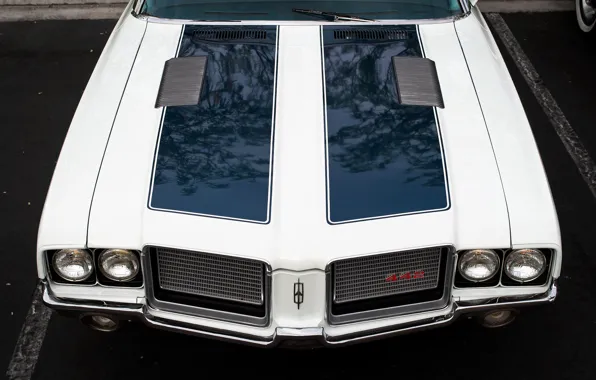 Picture retro, the hood, muscle car, classic, Oldsmobile 442