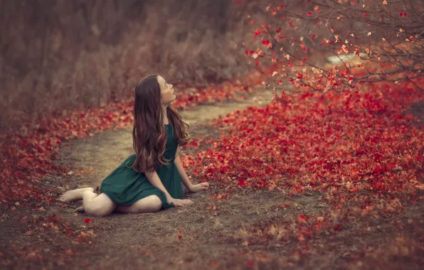 Picture autumn, leaves, girl, bokeh, green dress