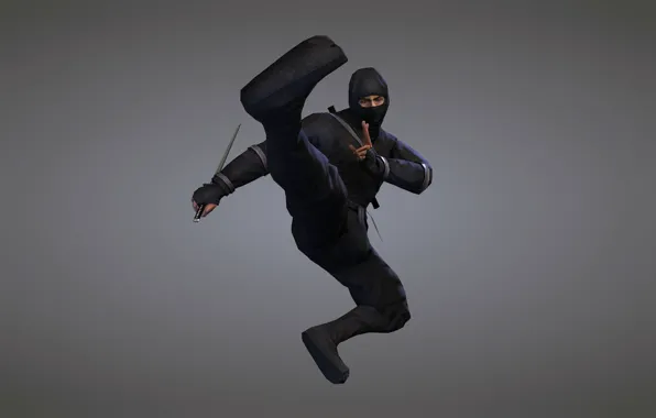 Picture weapons, sword, ninja, blade, ninja, black suit