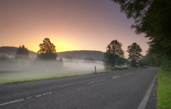 Picture road, field, landscape, sunset, fog