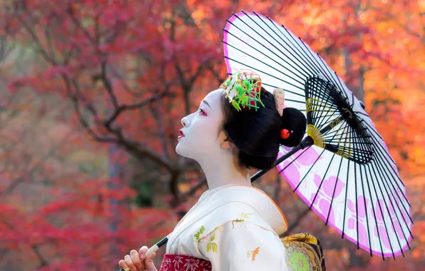 Picture autumn, girl, Japan, umbrella, geisha, girl, kimono, Asian, japan, woman, umbrella, asia, japanese, kimono, memoirs …