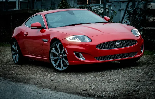 Picture Jaguar, Red, 2011-14