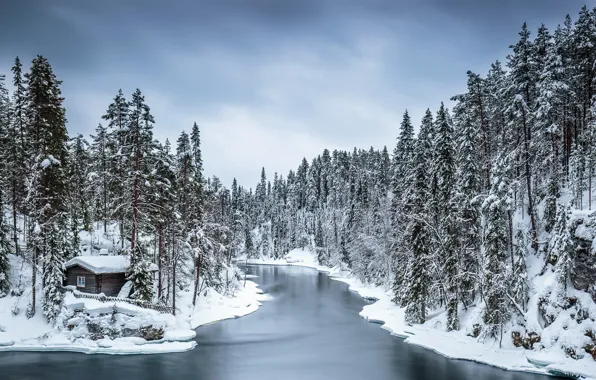 Picture winter, forest, house, river