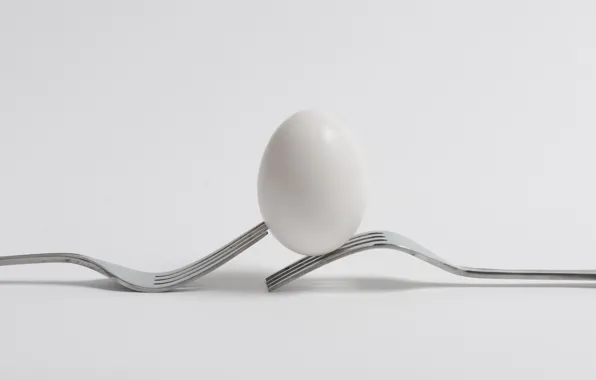 Picture minimalism, fork, egg
