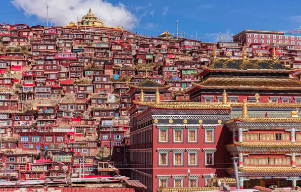 Picture home, China, Tibet, the monastery, Sichuan, Seda