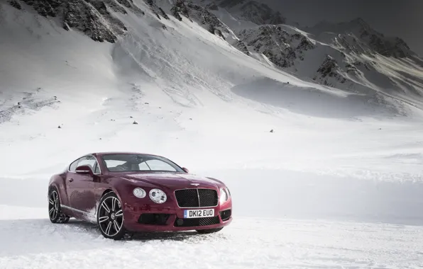 Picture Bentley, Continental, V8-Wallpaper