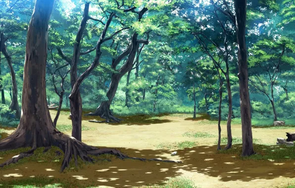 Picture forest, leaves, trees, landscape, nature, branch, anime, art, koiken otome