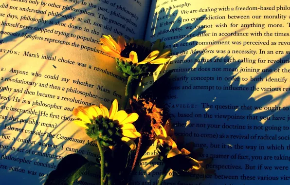 Picture flowers, paper, mood, book, podology
