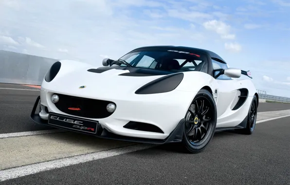 Picture Lotus, Lotus, Alice, Cup R, Elise S