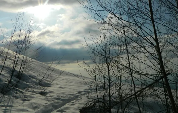 Picture winter, the sky, clouds, snow, nature, frost, Nature, sky, winter, clouds, snow, frost