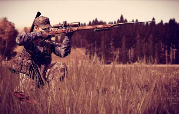 Picture forest, sniper, camouflage, Mosin, DayZ Standalone
