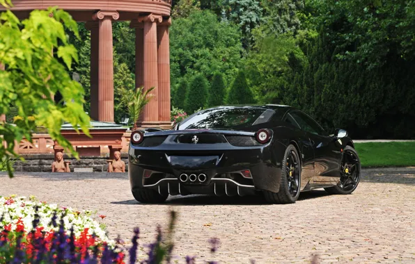 Picture trees, flowers, black, ferrari, Ferrari, black, rear view, Italy, 458 italia