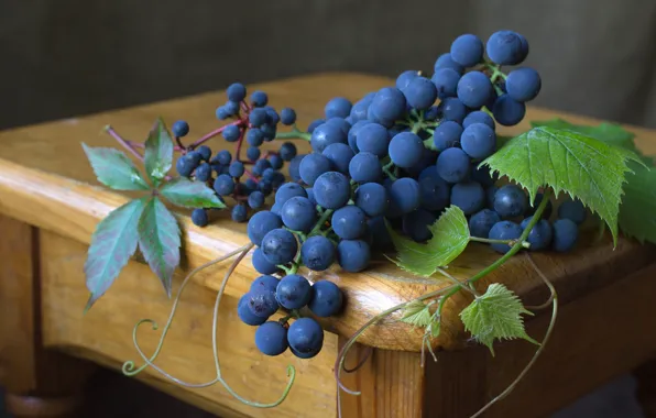 Picture blue, berries, grapes
