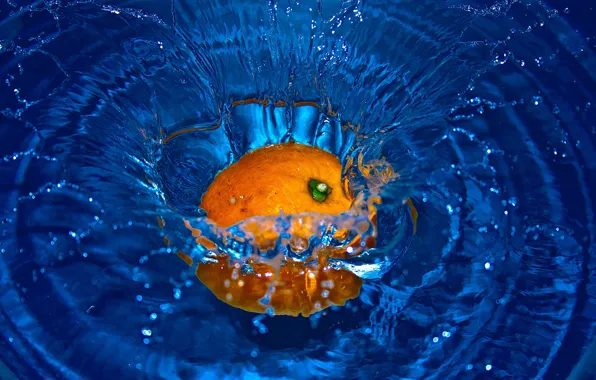 Picture water, drops, circles, squirt, freshness, orange, blue, creative, orange, food, positive, contrast, fruit, under water, …