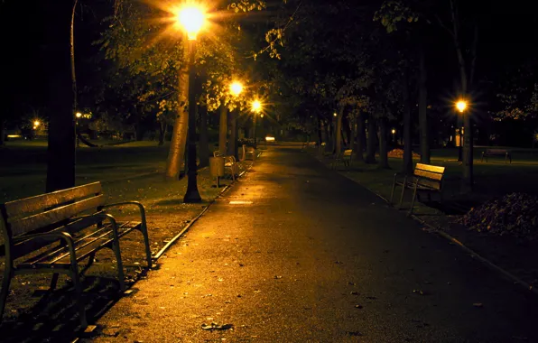Picture bench, Park, Night, track, lantern