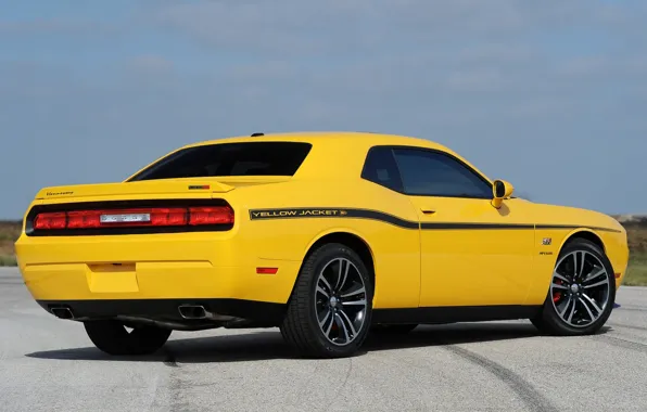Picture yellow, Dodge, Dodge, SRT8, Challenger, rear view, Muscle car, 392, Hennessey, Muscle car, Chelenzher, Yellow …
