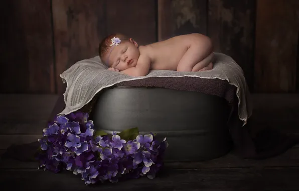 Picture flowers, children, child, sleep, sleeping, baby, child, composition, newborn, Wallpaper from lolita777