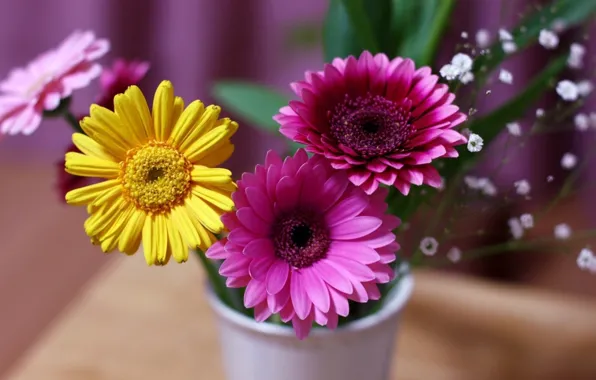 Picture flowers, bouquet, vase