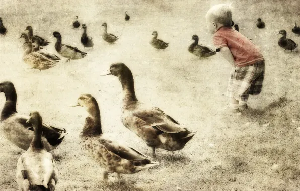Picture style, background, duck, boy