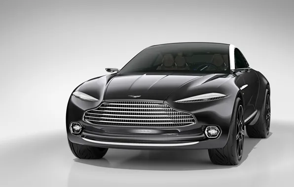 Picture Concept, Aston Martin, Aston Martin, 2015, DBX