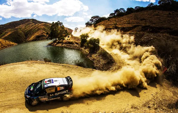 Picture Ford, Auto, Dust, Sport, Ford, Race, Skid, Day, WRC, the front, Rally, Rally, Fiesta, Elfyn …