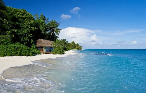 Picture sand, sea, tropics, palm trees, shore, hut, The Maldives, Kuramathi