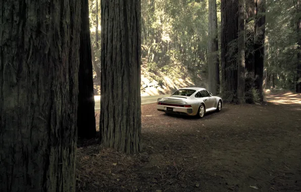 Picture road, auto, forest, trees, supercar, stop, Porsche 959