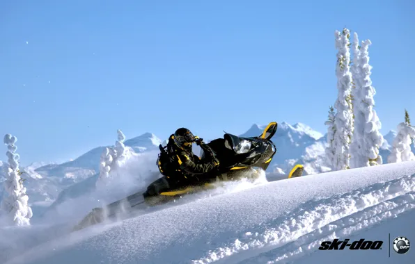 Picture snow, sport, sport, portfolio, mountain, snow, snowmobile, summit, snowmobile, ski-doo, brp, skidoo
