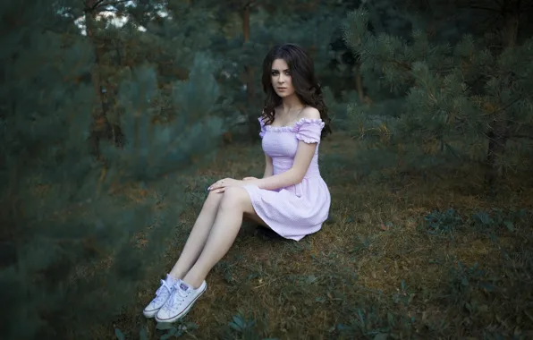 Picture grass, trees, sneakers, makeup, figure, dress, brunette, hairstyle, photographer, beautiful, sitting, one, in the woods, …