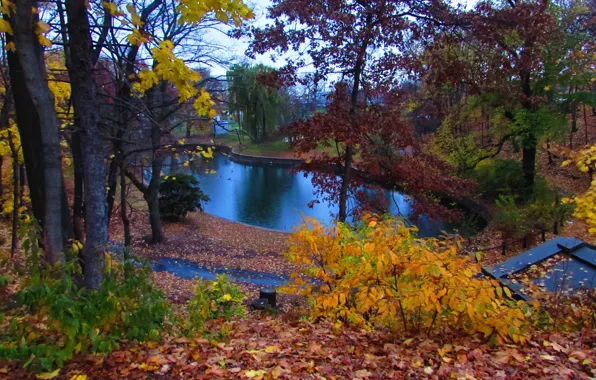 Picture Autumn, Trees, Pond, Nature, Fall, Foliage, Autumn, Colors, Trees, Falling leaves, Pond, Leaves