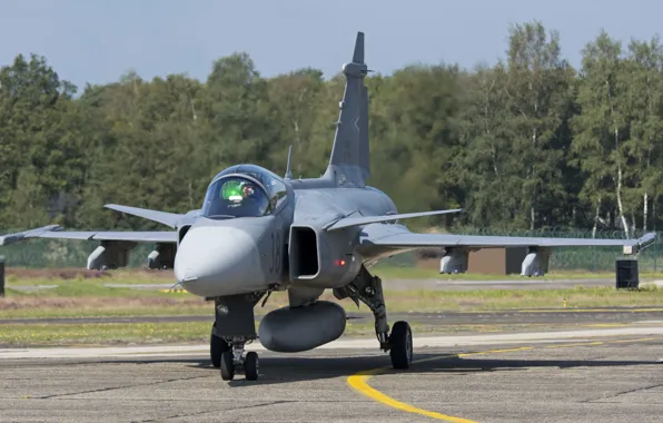 Picture fighter, multipurpose, Gripen, CAN JAS 39