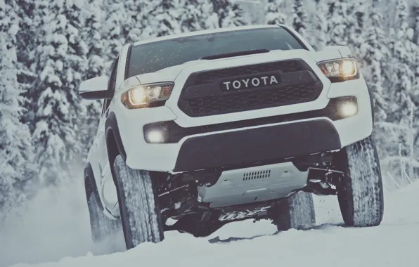 Picture winter, snow, white, Toyota, pickup, snow, pickup, TRD, Tacoma