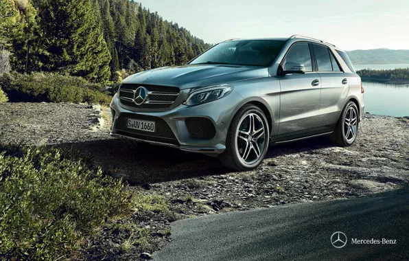 Picture Mercedes-Benz, Coupe, 2015, W166, GLE-class