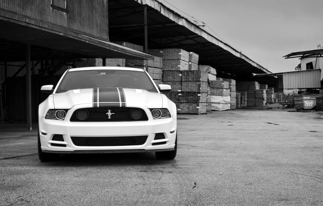 Photo wallpaper white, mustang, white, ford, the front, Ford Mustang, black and white photo, boss 302, boss …