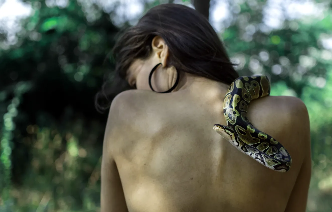 Photo wallpaper girl, background, snake