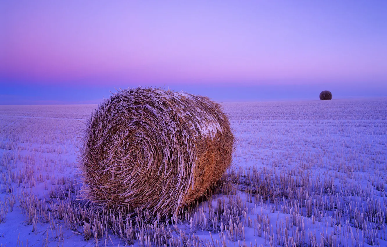Photo wallpaper frost, wheat, field, autumn, the sky, snow, dawn, harvest, bale, straw, USA, United States, dawn, …