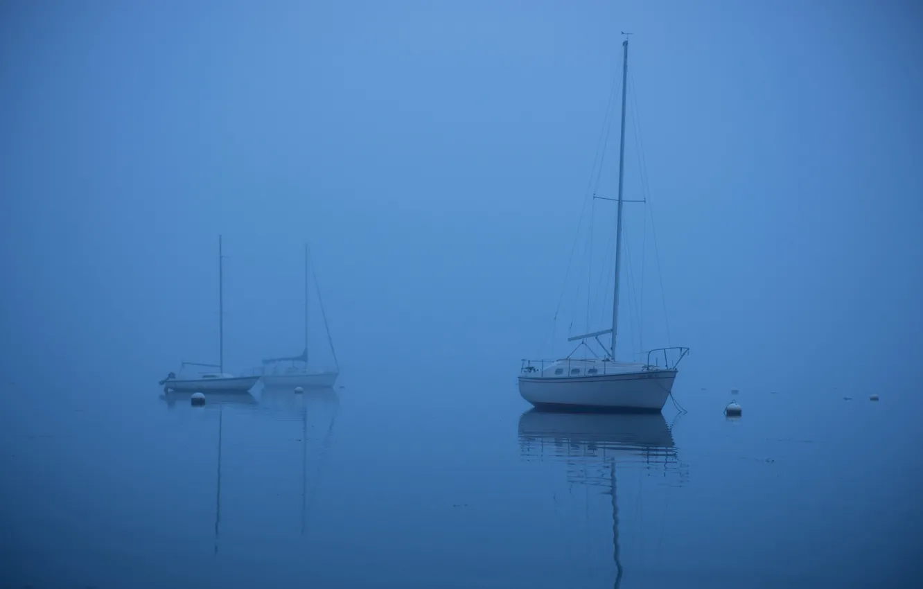 Photo wallpaper sea, fog, boat, yacht