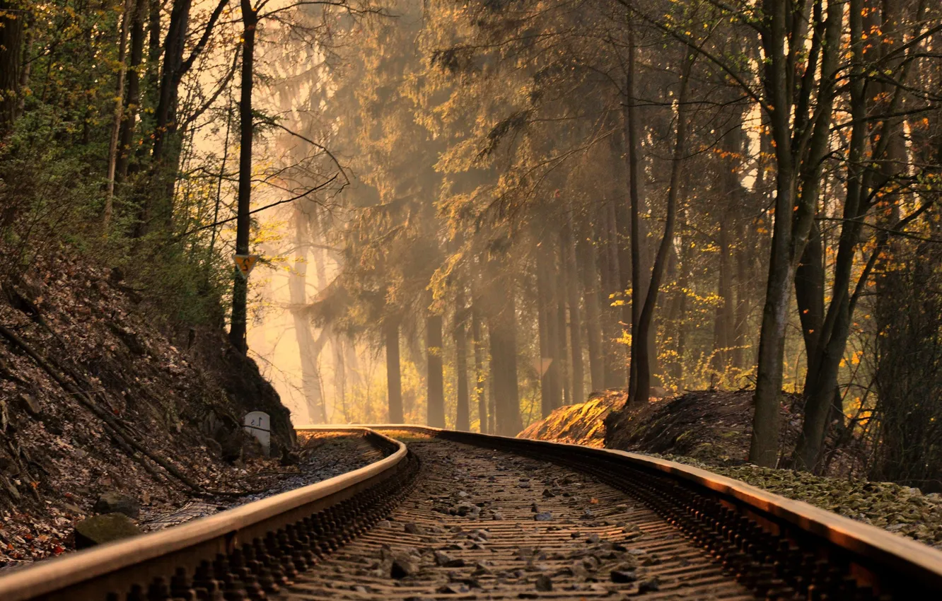 Wallpaper autumn, forest, light, railroad images for desktop, section  пейзажи - download