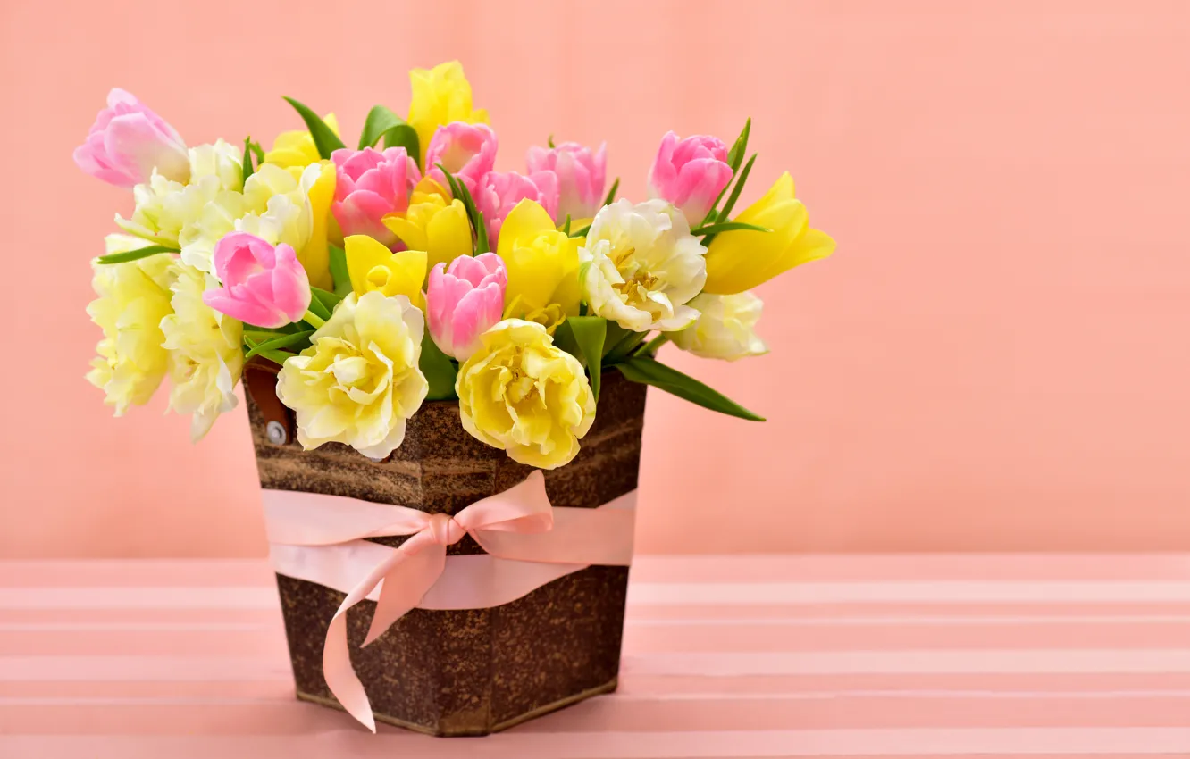 Wallpaper spring, yellow, colorful, tulips, pink, bow, March 8, flowers,  beautiful, Spring, Tulips images for desktop, section цветы - download