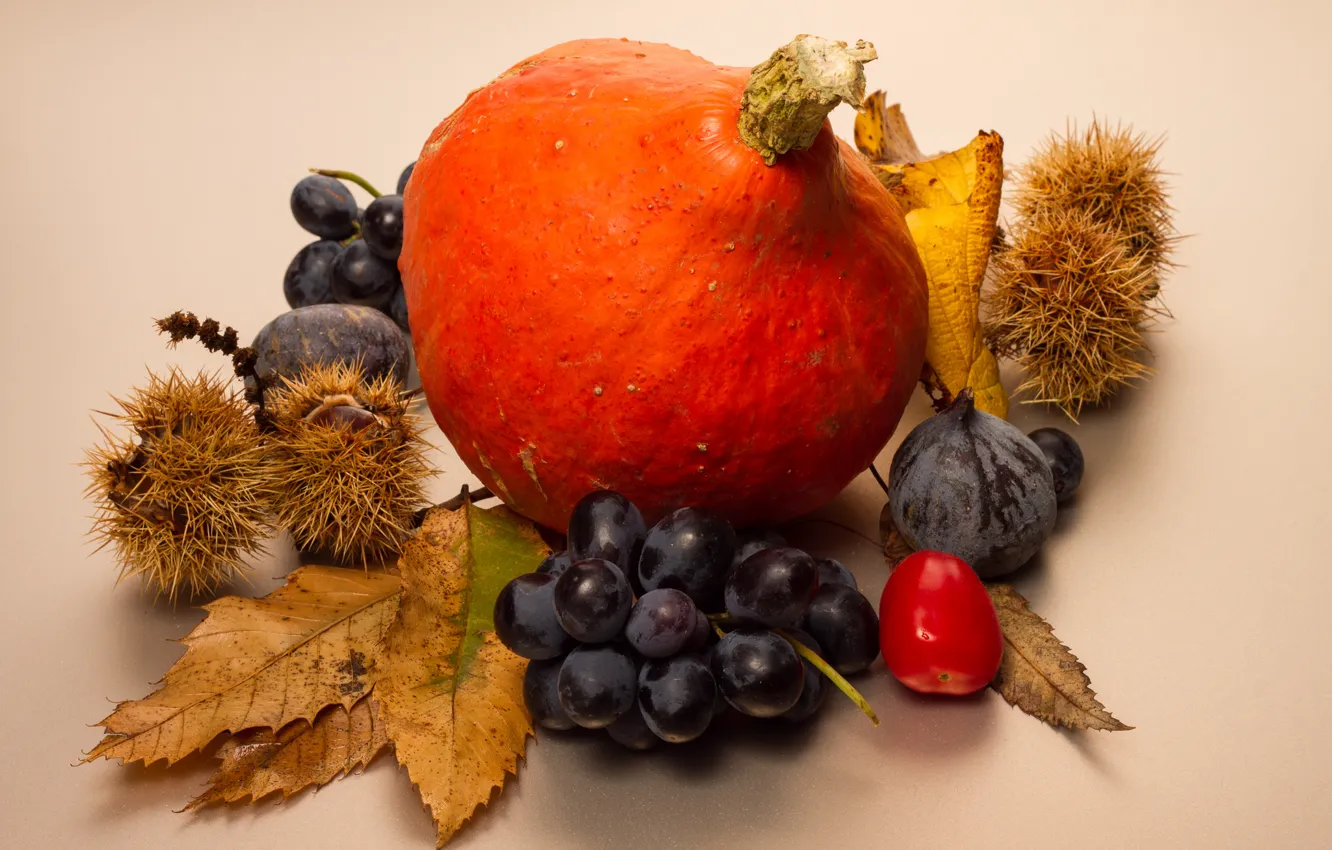 Photo wallpaper autumn, leaves, berries, fruit, pumpkin, still life
