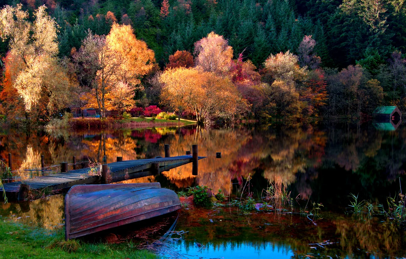 Photo wallpaper autumn, forest, grass, leaves, landscape, nature, lake, boat, home, Trees