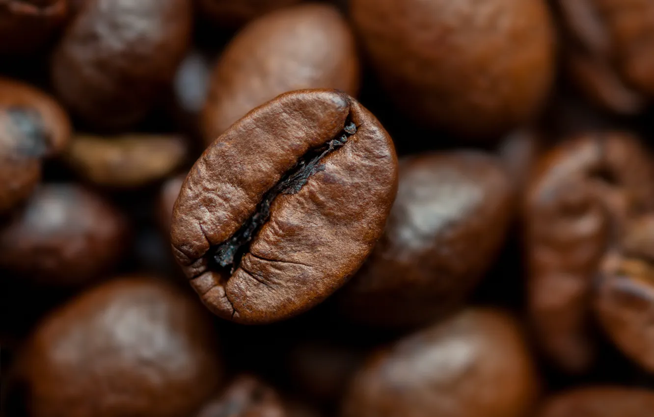 Photo wallpaper beans, coffee, roasted