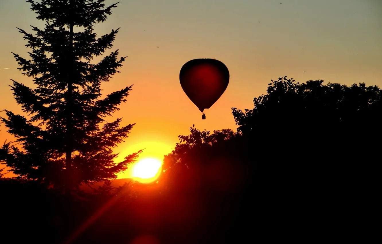 Photo wallpaper FOREST, The SKY, The SUN, LIGHT, TREES, RAYS, DAWN, SILHOUETTES, BALLOON