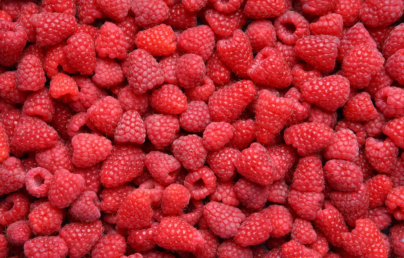 Photo wallpaper berries, raspberry, food, a lot