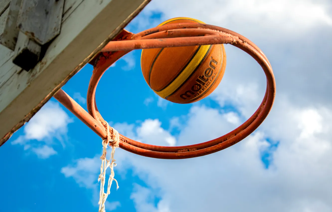 Photo wallpaper the sky, style, mesh, The ball, ring, basketball