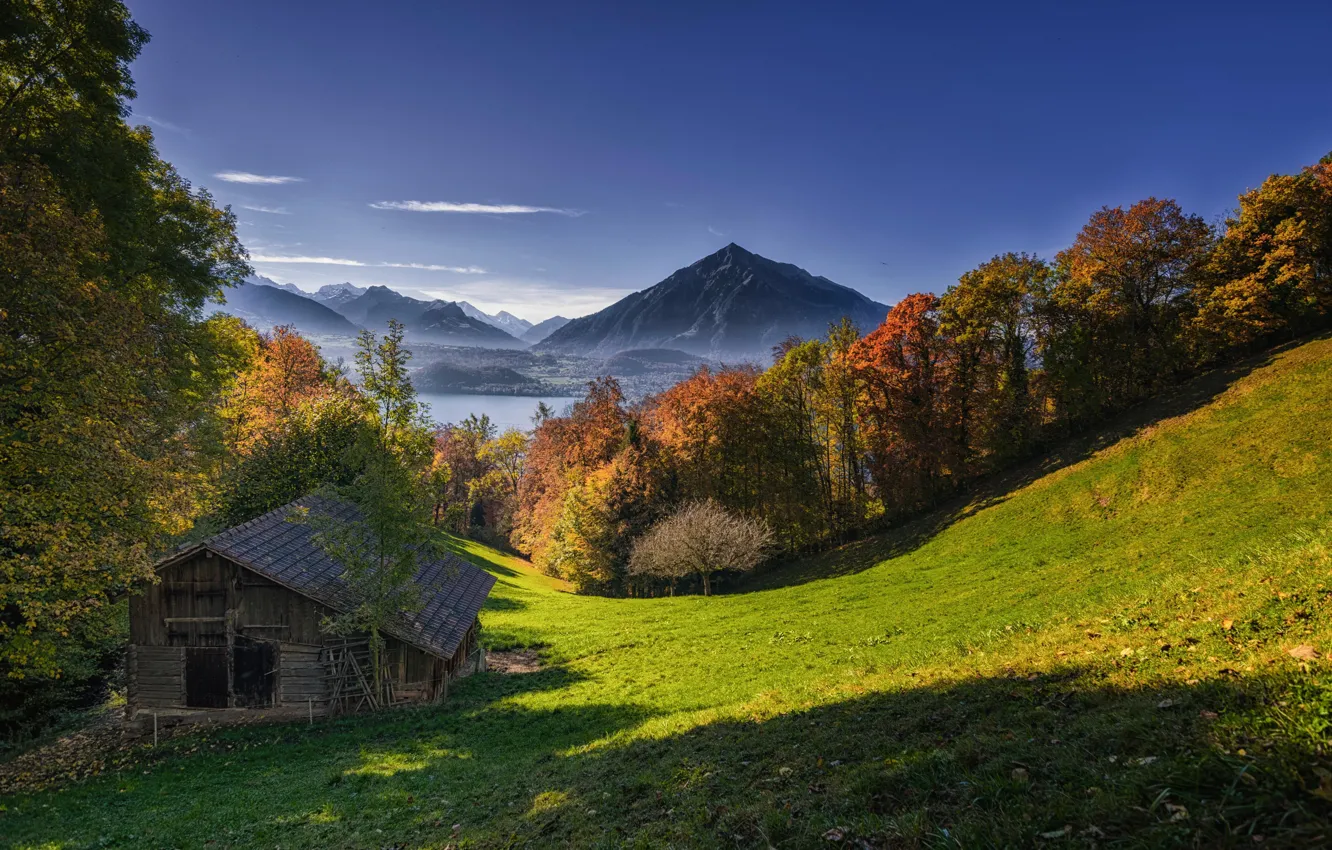 Photo wallpaper autumn, trees, mountains, lake, Switzerland, the barn, Switzerland, Lake Thun, Bernese Alps, The Bernese Alps, …