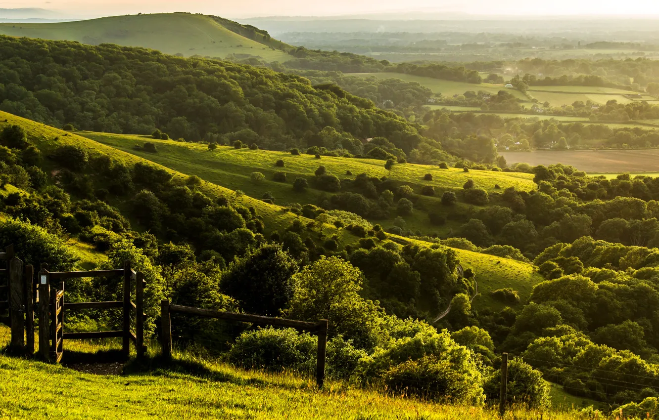 Wallpaper trees, landscape, nature, hills, the fence, field, England, the  evening, fence, green, UK, farm, England, Great Britain, West Sussex, West  Sussex images for desktop, section пейзажи - download