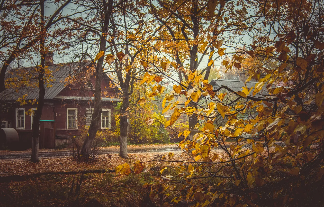 Photo wallpaper autumn, leaves, trees, yellow, house, yellow, village, Russia, village